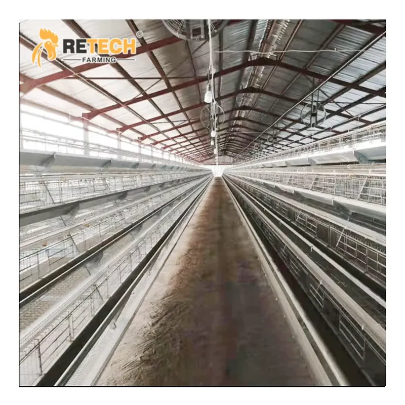 Farming Africa - Automatic Layer Chicken Cage A Type