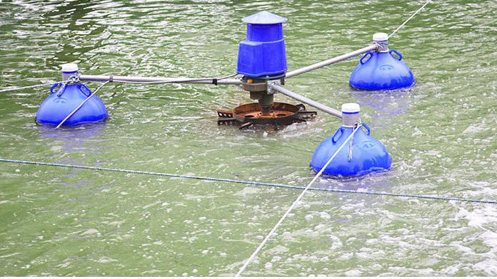 3HP Commercial Aquaculture Fis - Fish Pond Aerator recension och pris