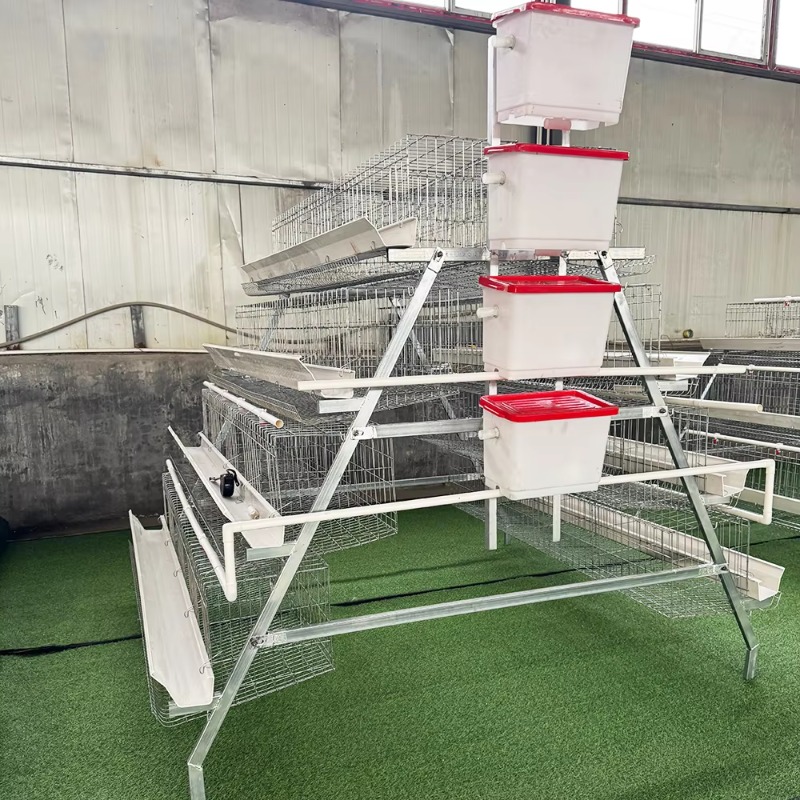 Cheap Price Poultry Farm 10000 - Farming Africa recension och pris