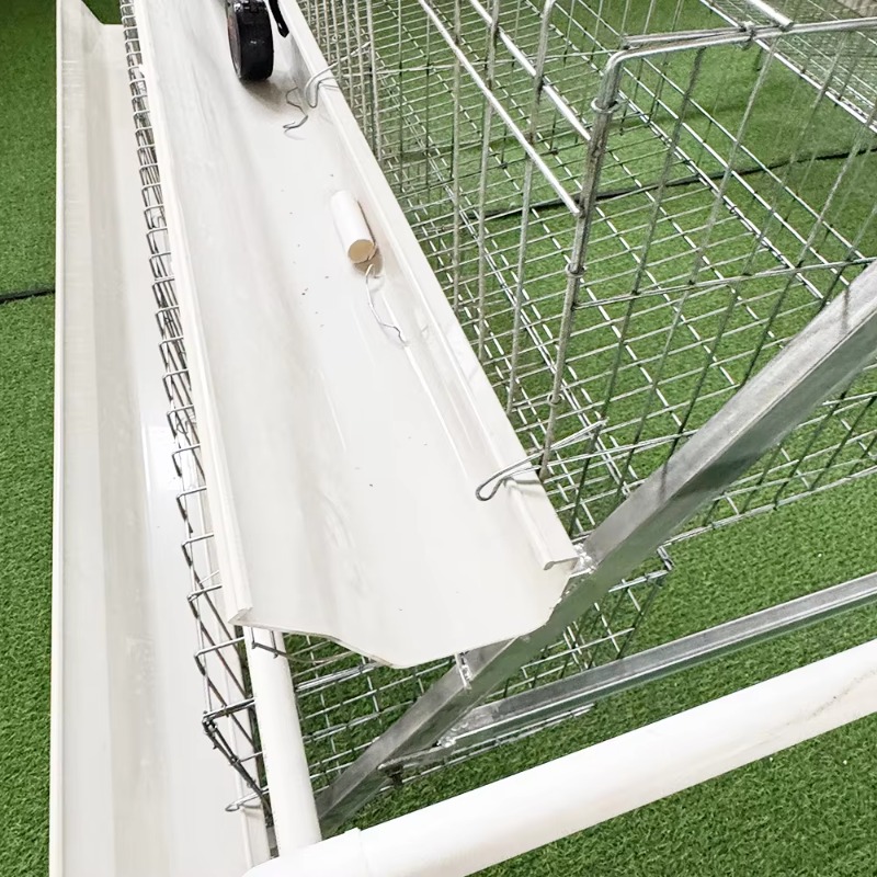 Cheap Price Poultry Farm 10000 - Farming Africa recension och pris