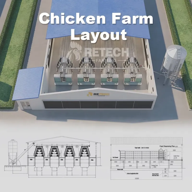 Automatic Layer Chicken Cage A - Farming Africa recension och pris
