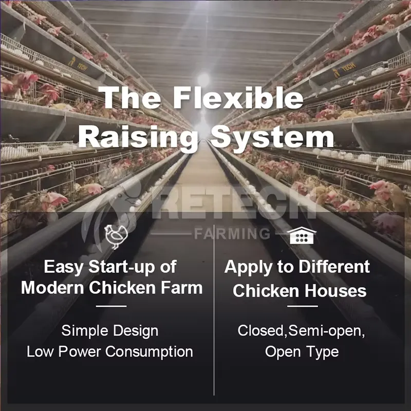 Automatic Layer Chicken Cage A - Farming Africa recension och pris