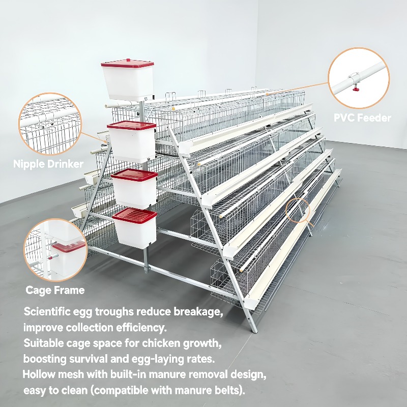  chicken coop New Africa a Typ - Farming Africa recension och pris