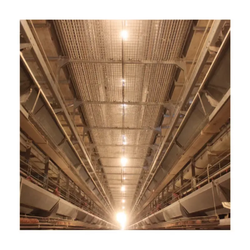 TIANRUI New Automatic Egg Laye - Farming Africa recension och pris