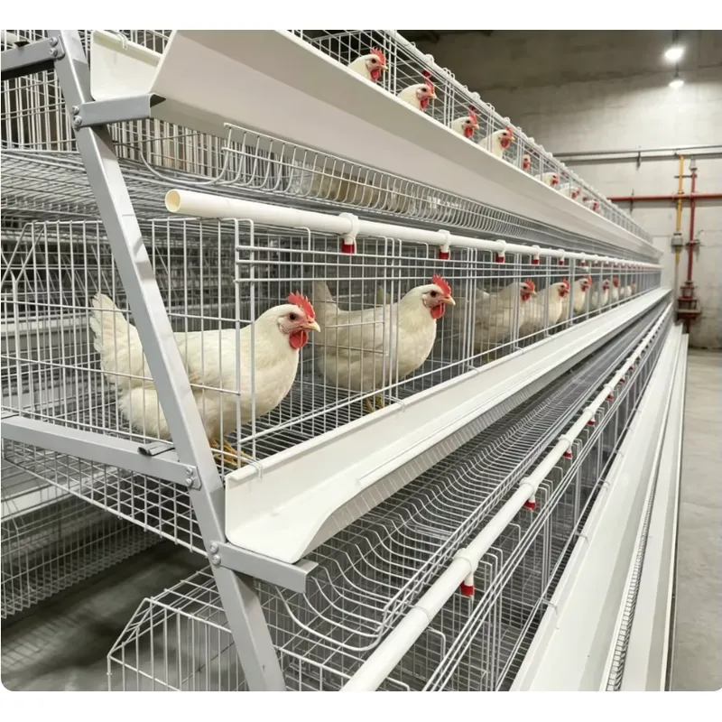 A Type Battery Layer Cage Full - Farming Africa recension och pris