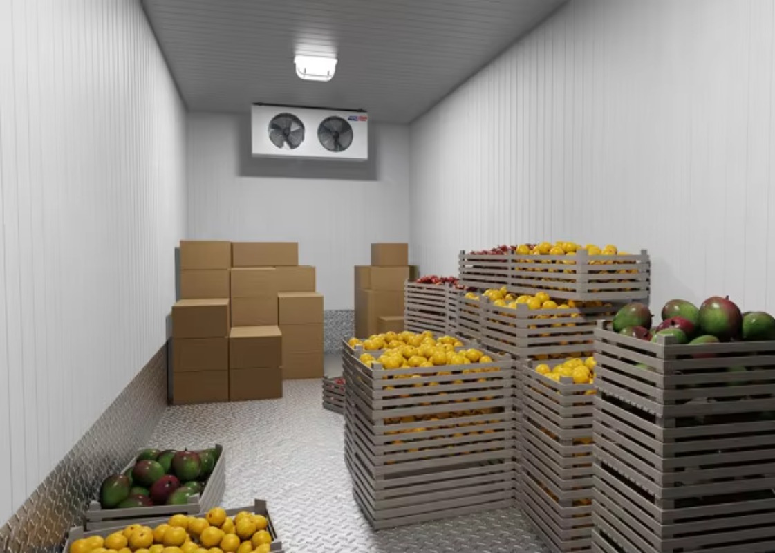 Solar Walk in Cold Storage Roo - Farming Africa recension och pris