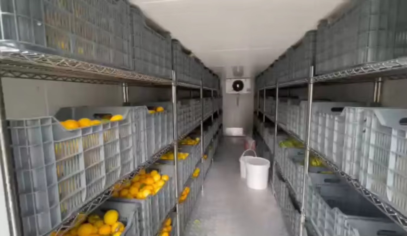 Solar Walk in Cold Storage Roo - Farming Africa recension och pris