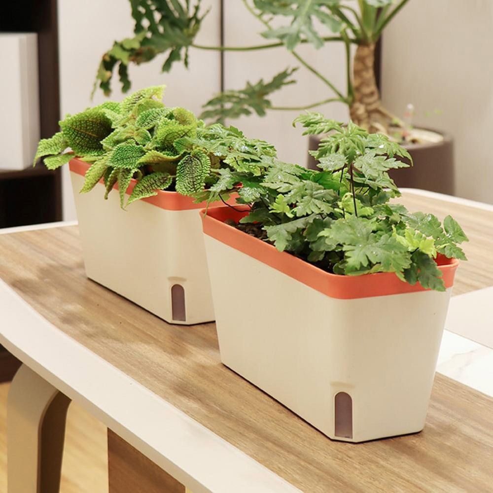 Multi-function Double Layer Fl - Vegetable Transplanter recension och pris