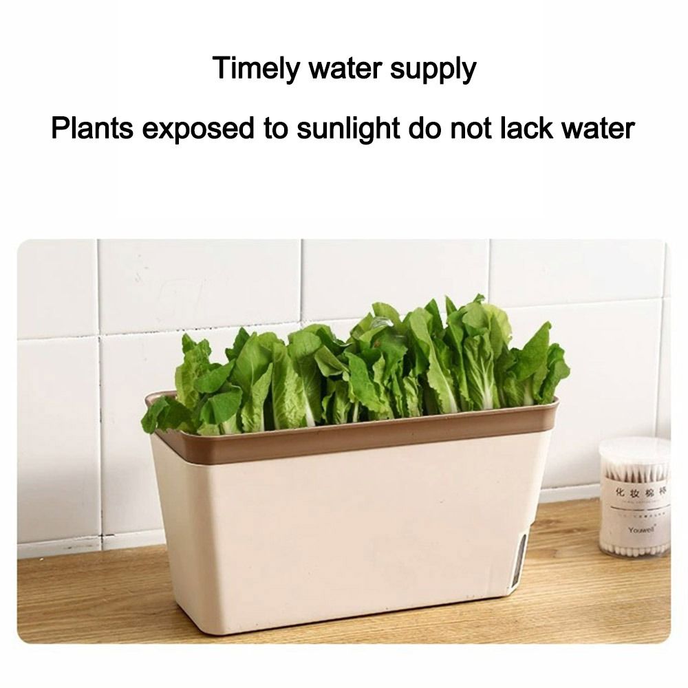 Multi-function Double Layer Fl - Vegetable Transplanter recension och pris