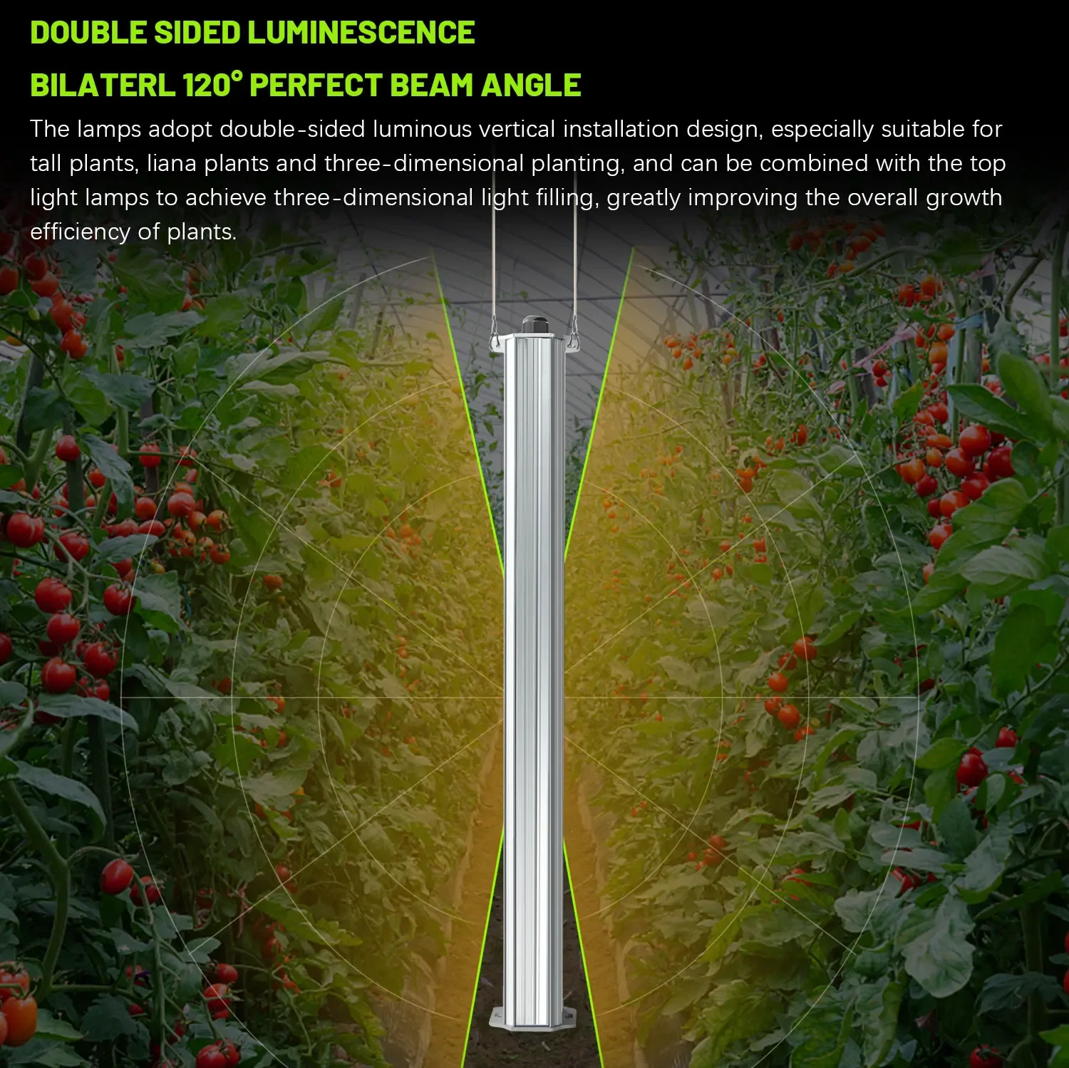 Best ETL Listed Plant Green Wa - List Of Agriculture Farming recension och pris