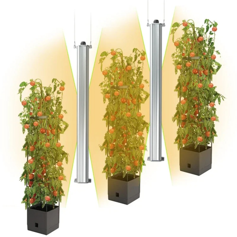 Best ETL Listed Plant Green Wa - List Of Agriculture Farming recension och pris