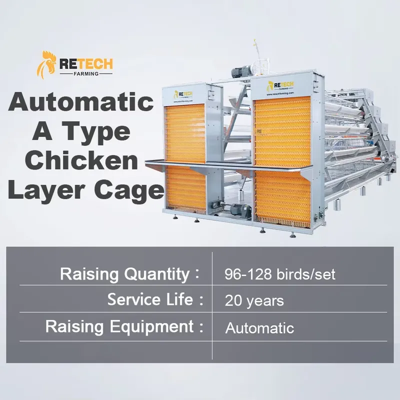Automatic Egg Layer Chicken Ca - Farming Africa recension och pris