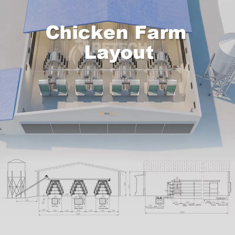 Automatic Egg Layer Chicken Ca - Farming Africa recension och pris