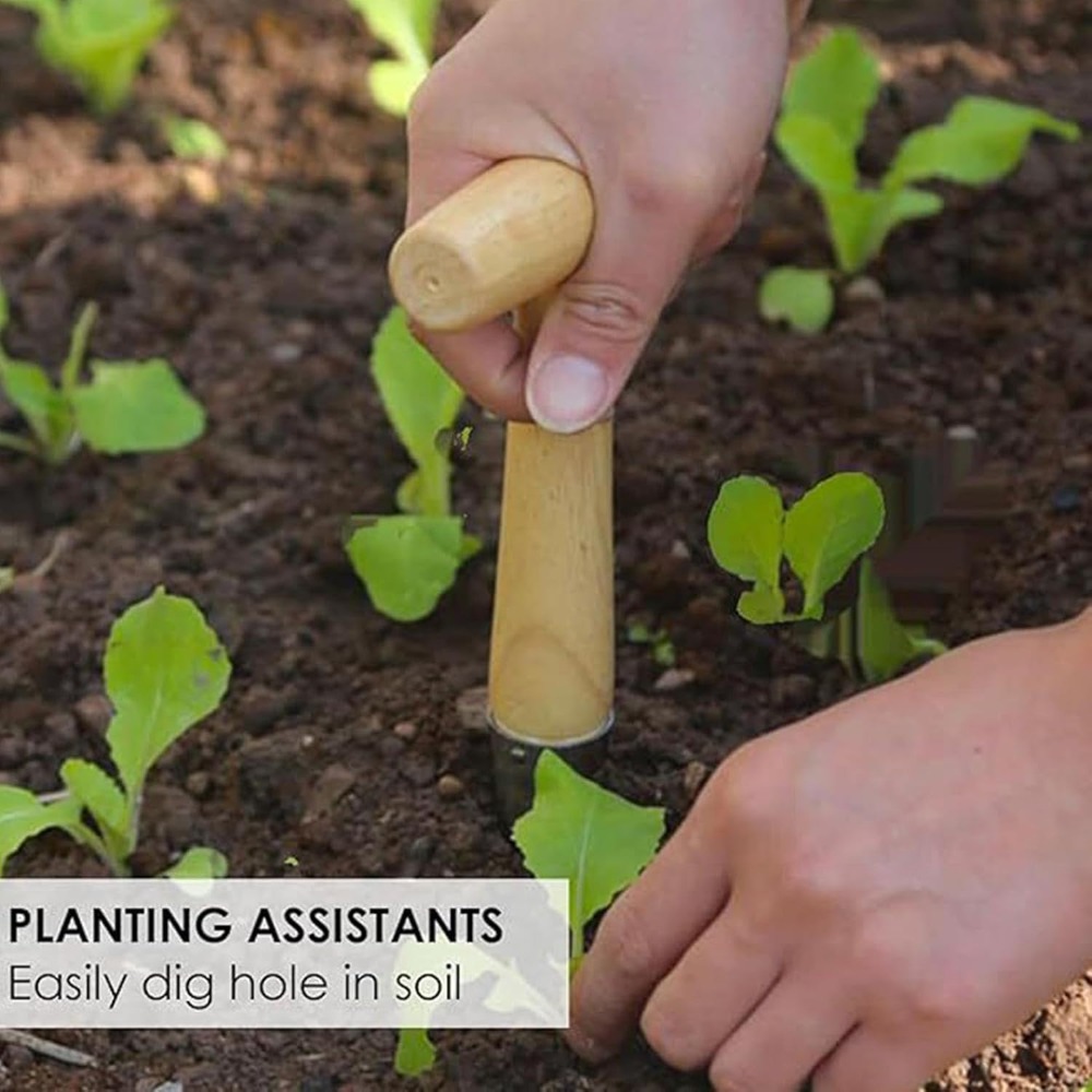 Vegetable Garden Seedling Tran - Vegetable Transplanter recension och pris