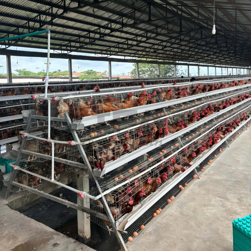 Machinery Sale In South Africa - Farming Africa recension och pris