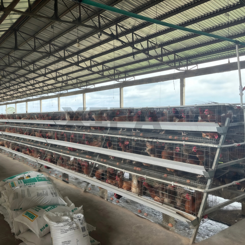 Machinery Sale In South Africa - Farming Africa recension och pris