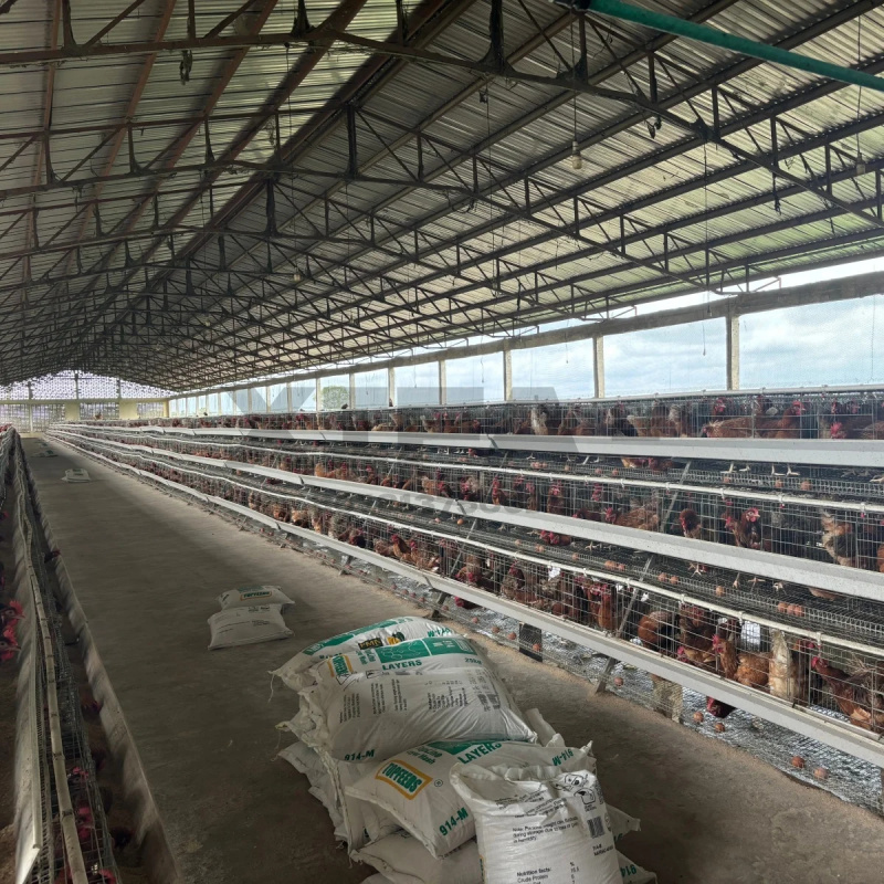 Machinery Sale In South Africa - Farming Africa recension och pris