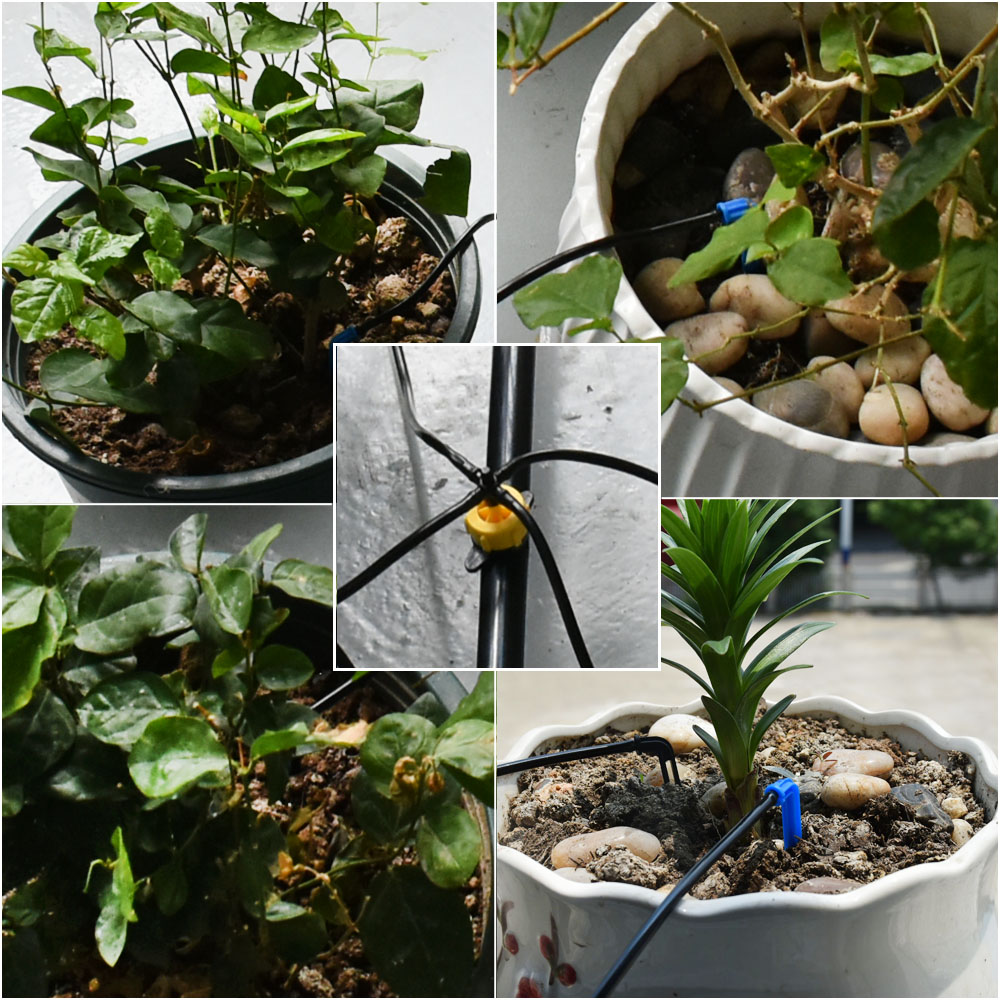 Greenhouse Potted Curved Arrow - Irrigation Drip Tape recension och pris