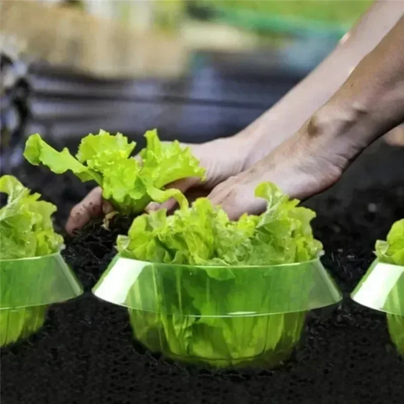 Plants Slug Protection Rings V - Vegetable Transplanter recension och pris