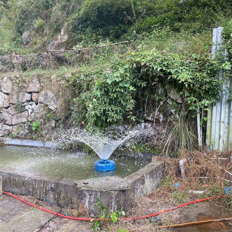 Aireador Solar Con Impulsor Ox - Fish Pond Aerator recension och pris