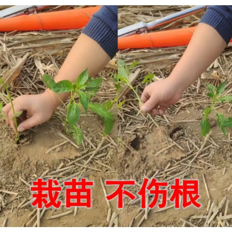 Agricultural Seedling Transpla - Vegetable Transplanter recension och pris