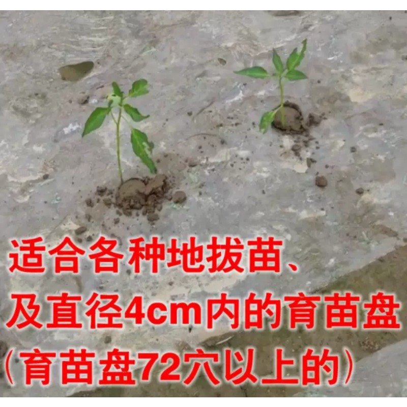Agricultural Seedling Transpla - Vegetable Transplanter recension och pris