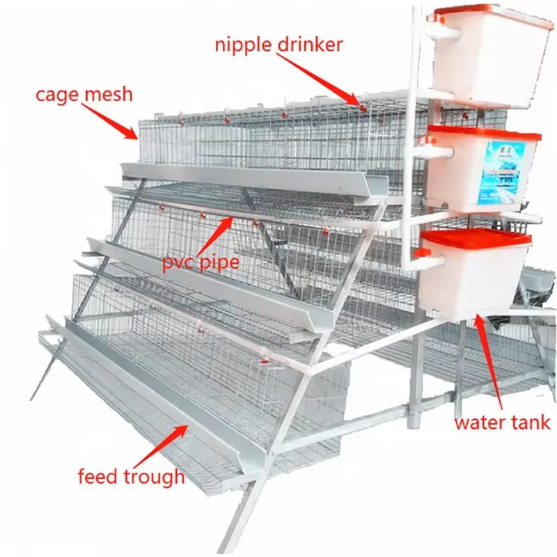 H Type Layer Cages for Poultry - Farming Africa recension och pris